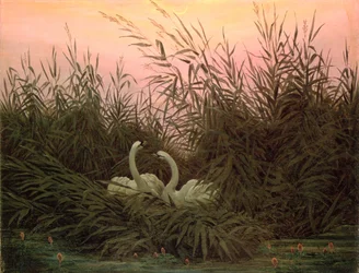 Hattyúk a nádasban, 1820 körül